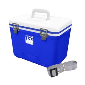 Prenosna skrinja/hladilnik 12L TECHNI ICE CS12