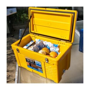 Prenosna skrinja/hladilnik 45L TECHNI ICE CTC45 TRAVEL CHILL
